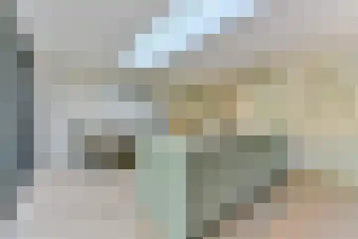 Cornelis Schellingerlaan 32 Zeist thumbnail 28