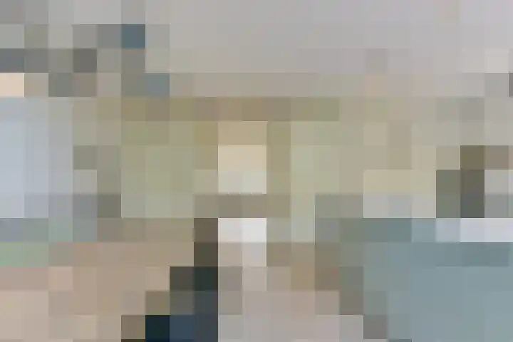 Cornelis Schellingerlaan 32 Zeist thumbnail 29