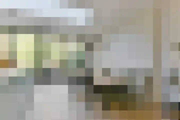 Cornelis Schellingerlaan 32 Zeist thumbnail 30