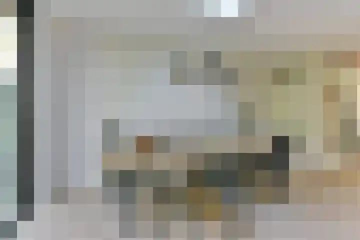 Cornelis Schellingerlaan 32 Zeist thumbnail 31