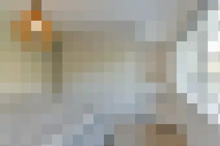Cornelis Schellingerlaan 32 Zeist thumbnail 36