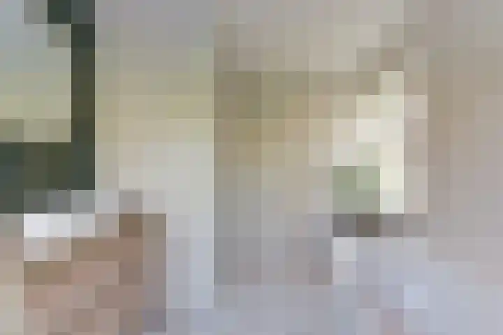 Cornelis Schellingerlaan 32 Zeist thumbnail 38