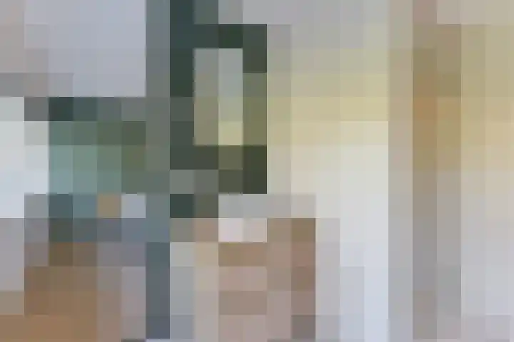 Cornelis Schellingerlaan 32 Zeist thumbnail 40
