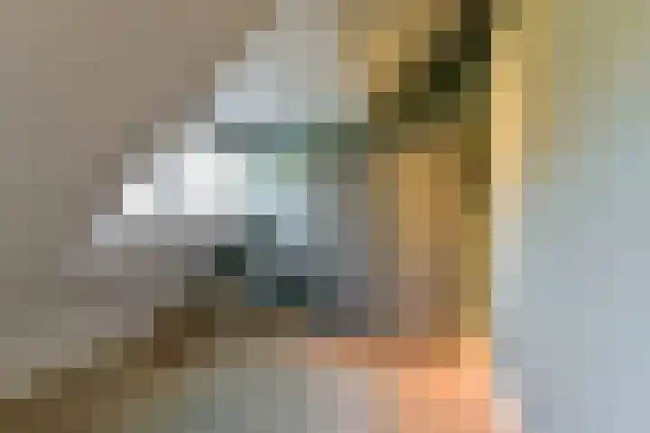 Cornelis Schellingerlaan 32 Zeist thumbnail 48
