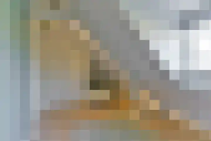 Cornelis Schellingerlaan 32 Zeist thumbnail 49
