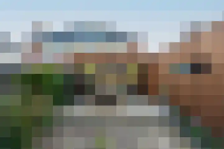 Cornelis Schellingerlaan 32 Zeist thumbnail 51