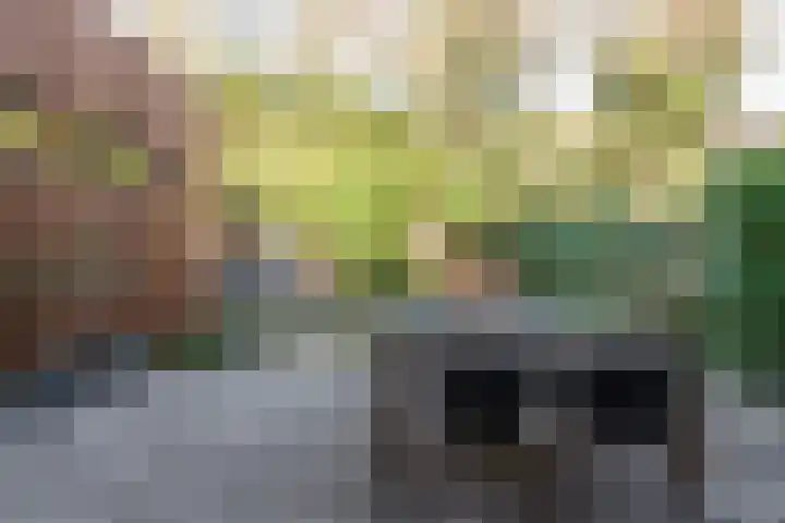 Cornelis Schellingerlaan 32 Zeist thumbnail 53