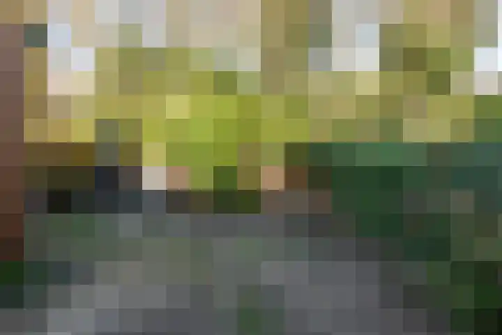 Cornelis Schellingerlaan 32 Zeist thumbnail 54