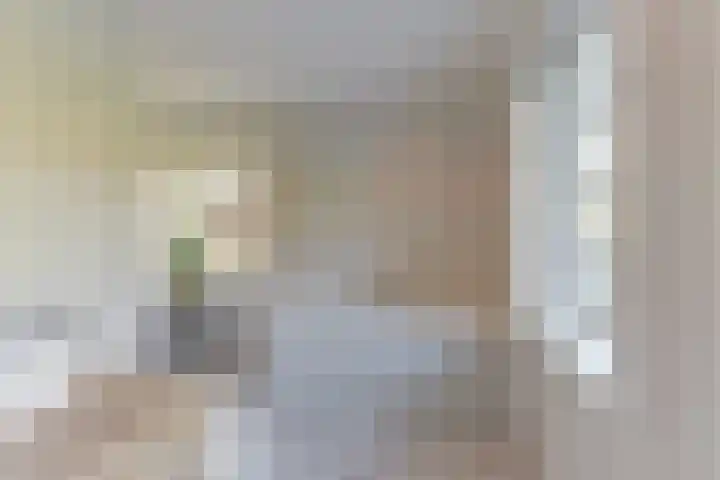 Cornelis Schellingerlaan 32 Zeist thumbnail 6