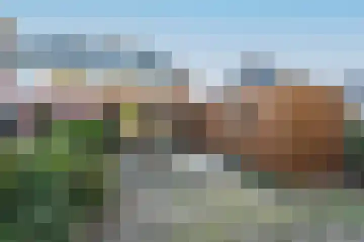 Cornelis Schellingerlaan 32 Zeist thumbnail 7