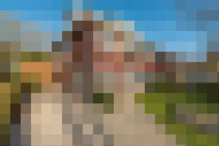 Cornelis Schellingerlaan 32 Zeist thumbnail 9
