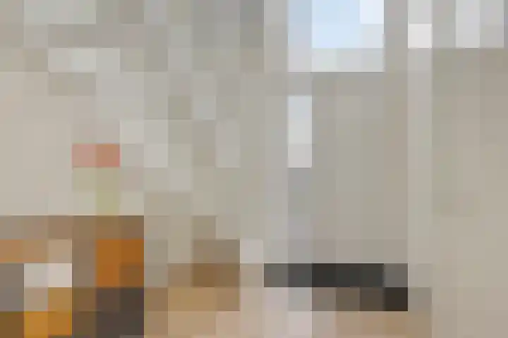 Cornelis Schipperplein 10 Bergentheim thumbnail 11