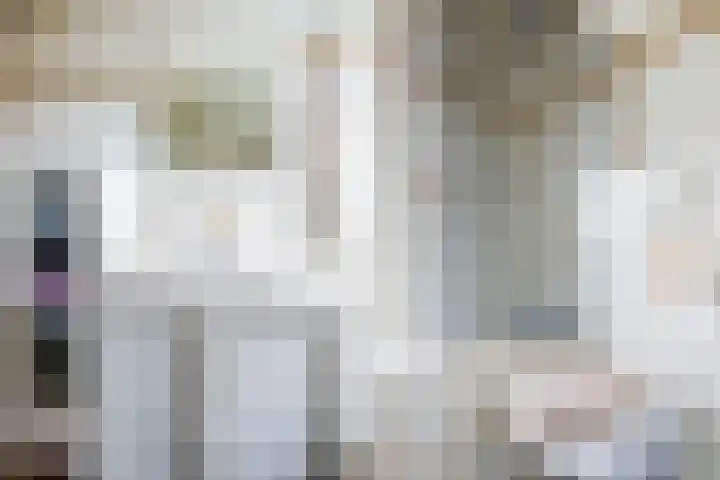 Cornelis Schuurmanhof 13 Amsterdam thumbnail 18