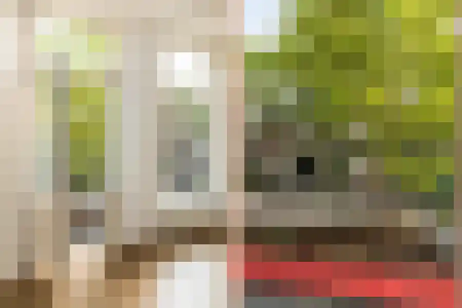 Cornelis Schuytstraat 10 1 Amsterdam thumbnail 5