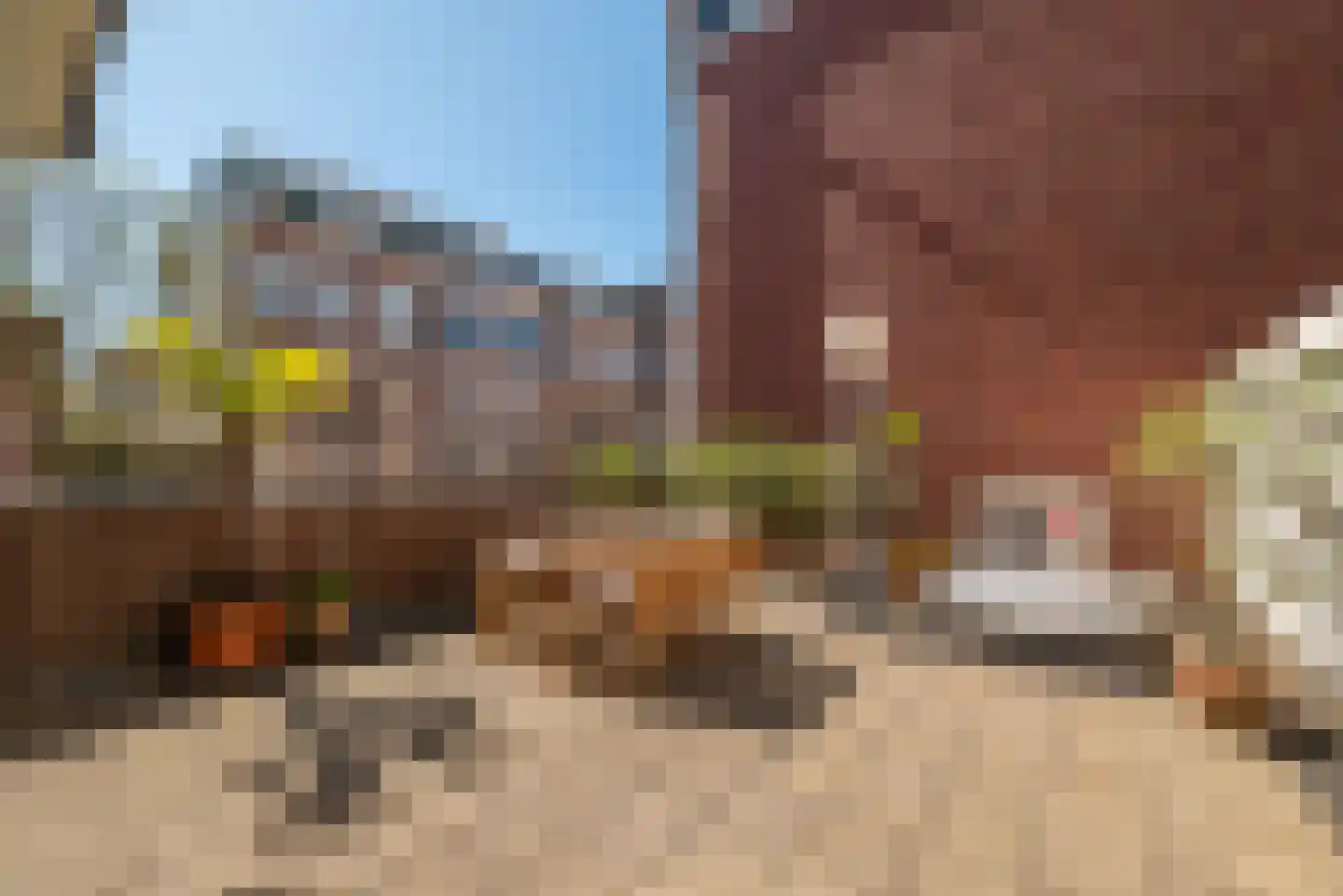 Cornelis Schuytstraat 16 H Amsterdam thumbnail 25