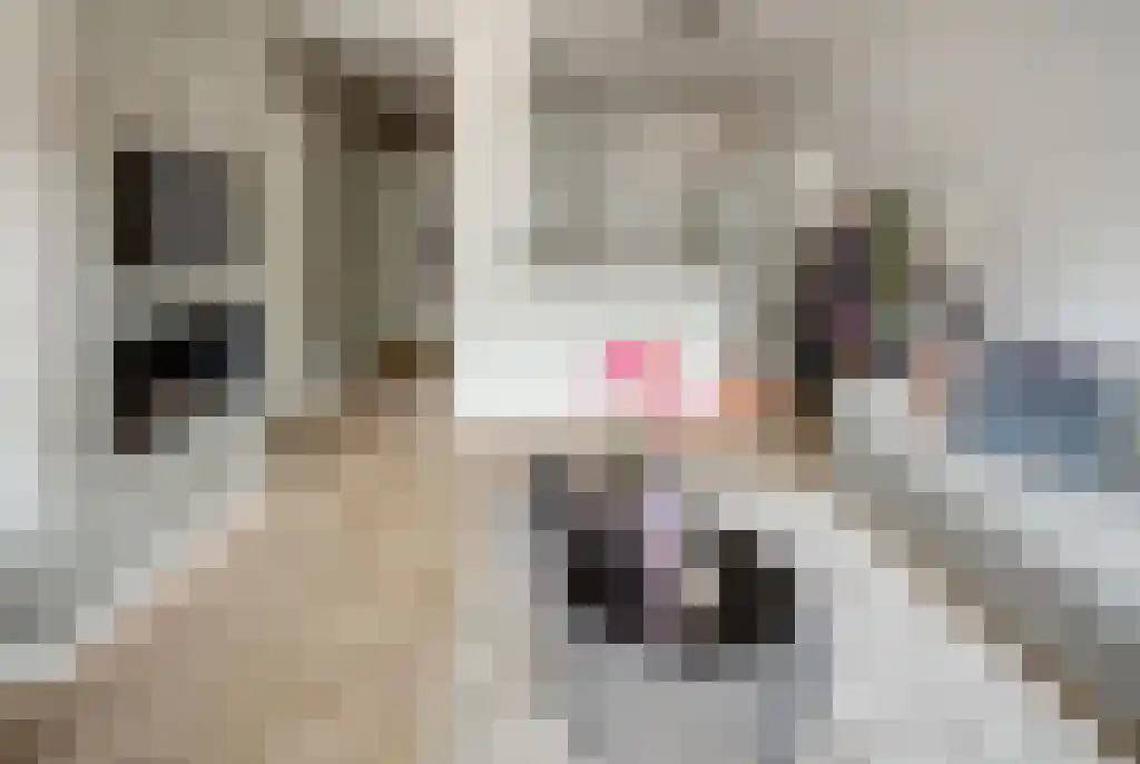 Cornelis Schuytstraat 25 1 Amsterdam thumbnail 4