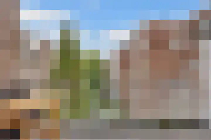 Cornelis Schuytstraat 41 1 Amsterdam thumbnail 18