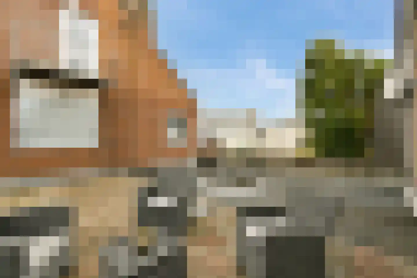 Cornelis Slegersstraat 8 Zandvoort thumbnail 19