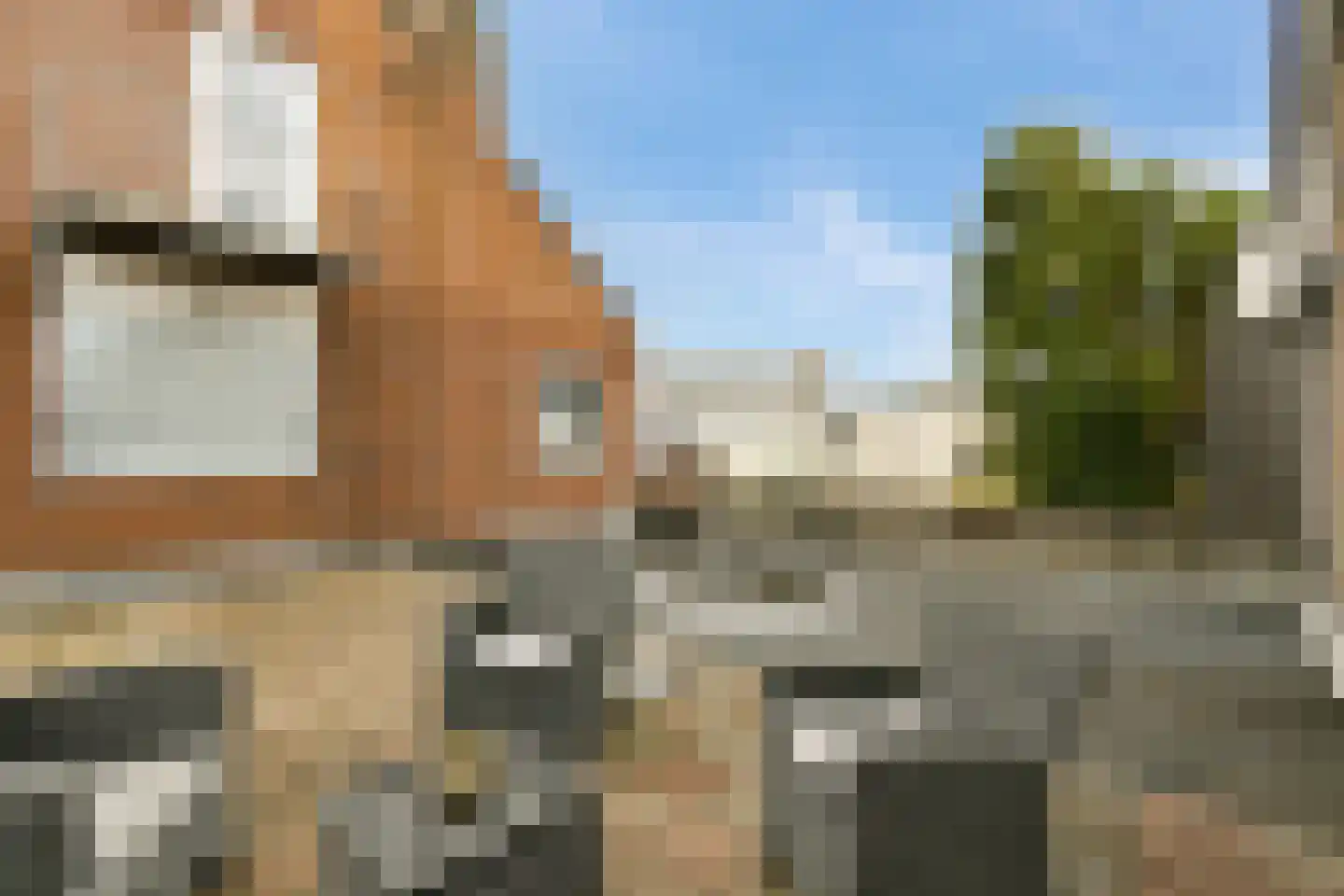Cornelis Slegersstraat 8 Zandvoort thumbnail 6
