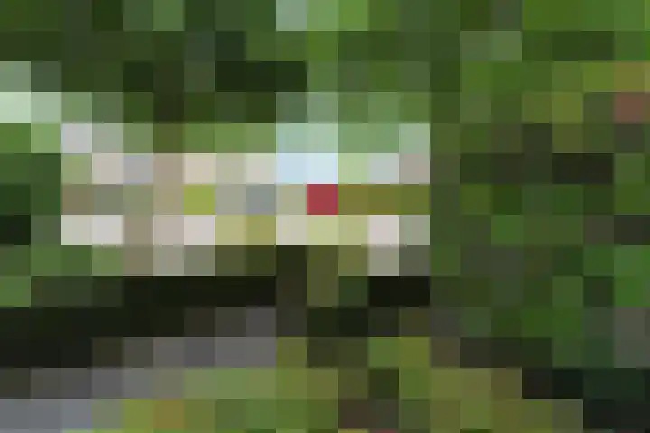 Cornelis Sminklaan 1 Hooglanderveen thumbnail 10
