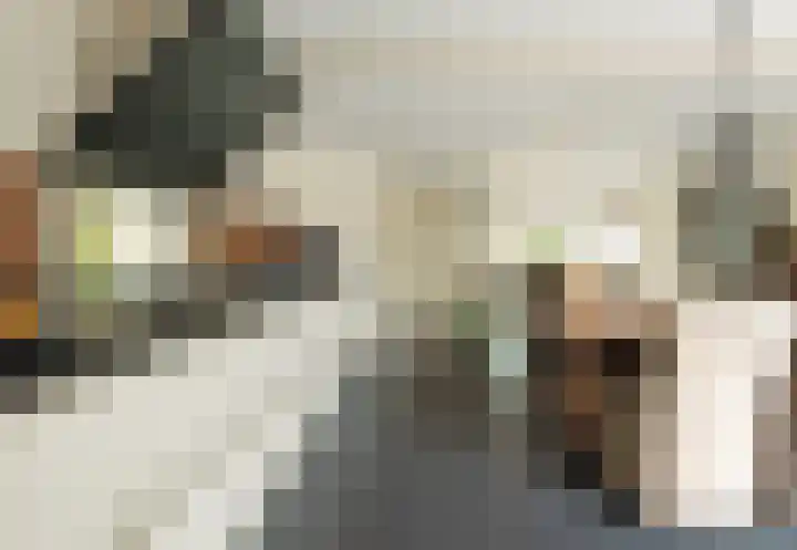 Cornelis Sminklaan 1 Hooglanderveen thumbnail 14