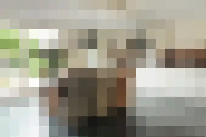 Cornelis Sminklaan 1 Hooglanderveen thumbnail 15