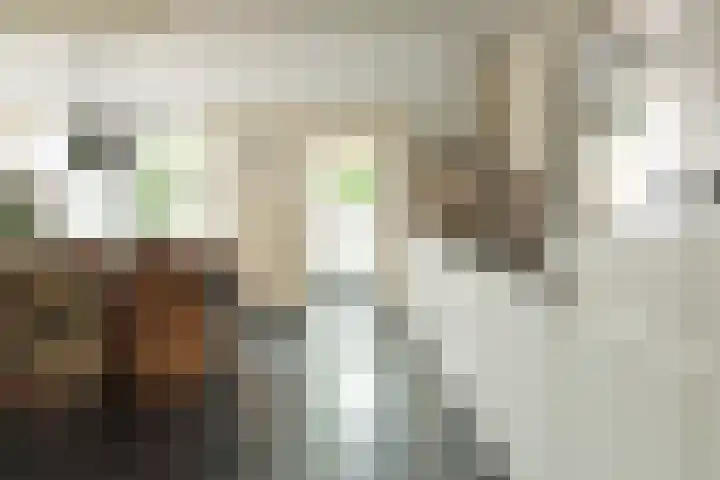 Cornelis Sminklaan 1 Hooglanderveen thumbnail 17