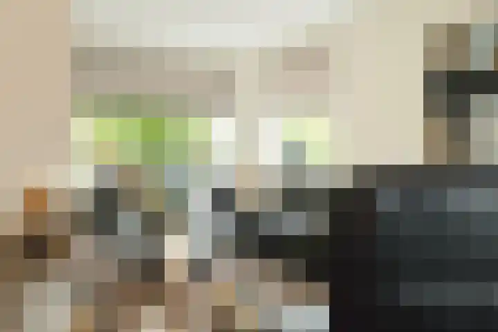 Cornelis Sminklaan 1 Hooglanderveen thumbnail 20