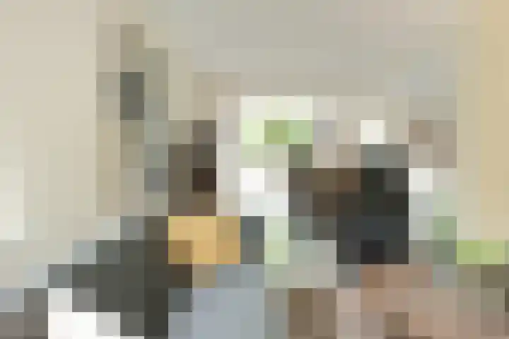 Cornelis Sminklaan 1 Hooglanderveen thumbnail 22