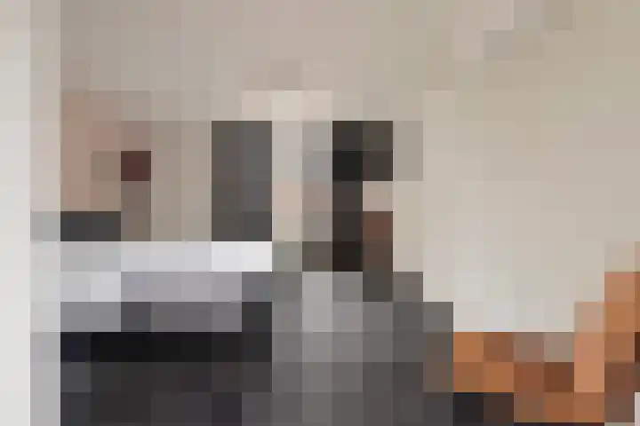 Cornelis Sminklaan 1 Hooglanderveen thumbnail 23