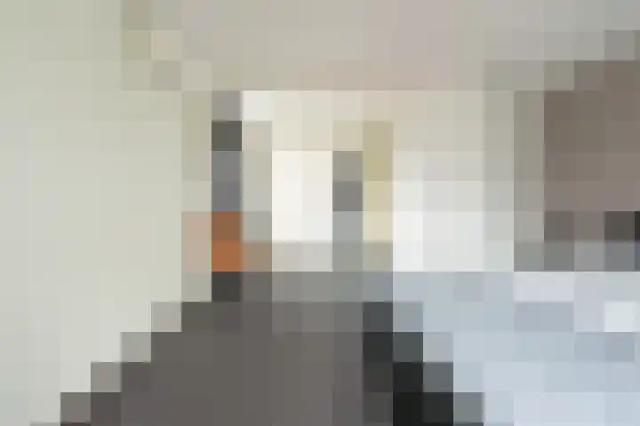 Cornelis Sminklaan 1 Hooglanderveen thumbnail 25