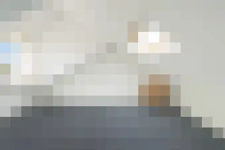 Cornelis Sminklaan 1 Hooglanderveen thumbnail 34