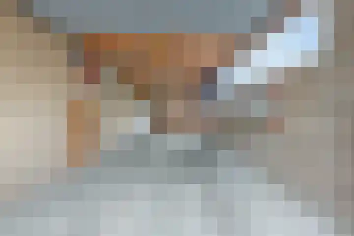 Cornelis Sminklaan 1 Hooglanderveen thumbnail 35