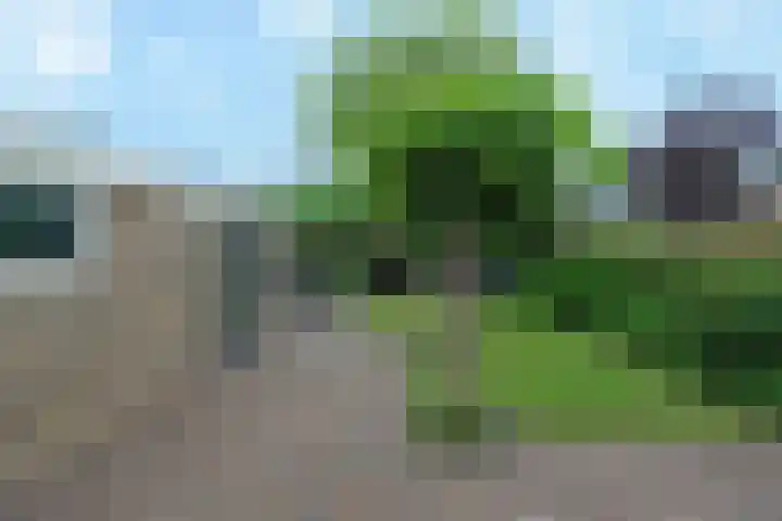 Cornelis Sminklaan 1 Hooglanderveen thumbnail 37