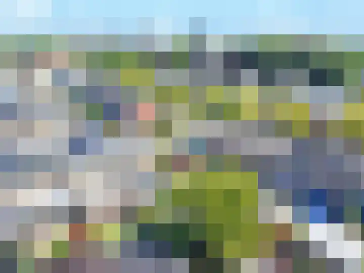 Cornelis Sminklaan 1 Hooglanderveen thumbnail 39