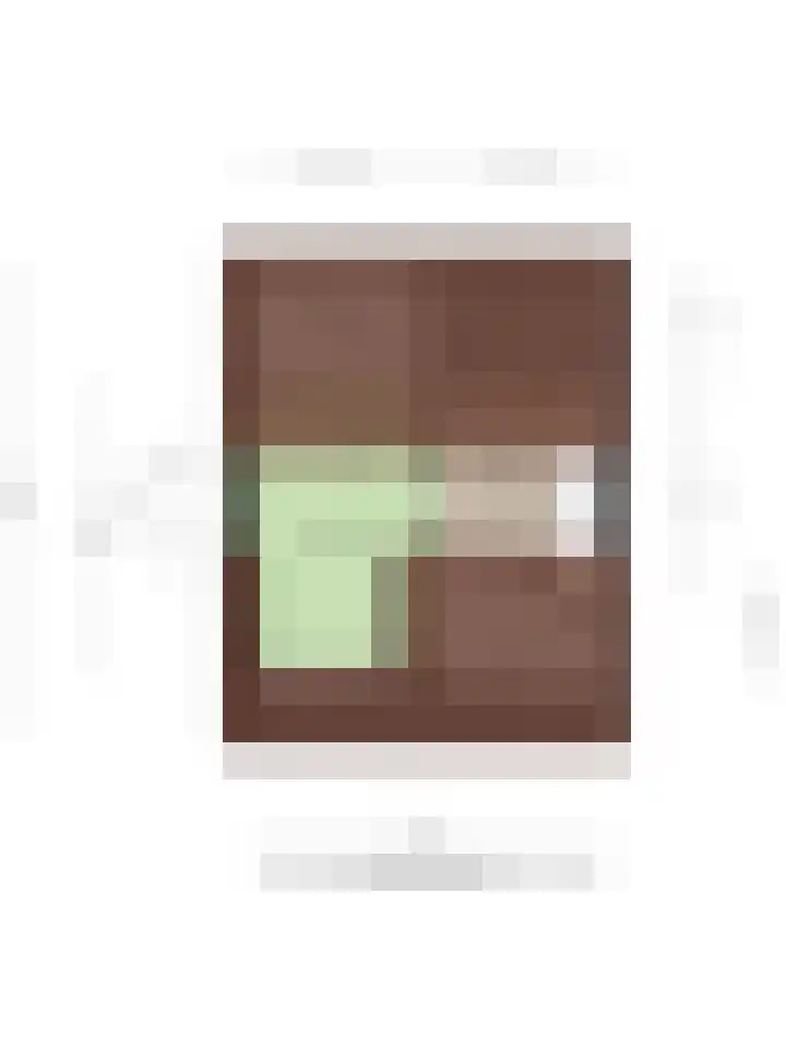 Cornelis Sminklaan 1 Hooglanderveen thumbnail 43
