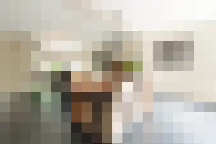 Cornelis Sminklaan 1 Hooglanderveen thumbnail 7