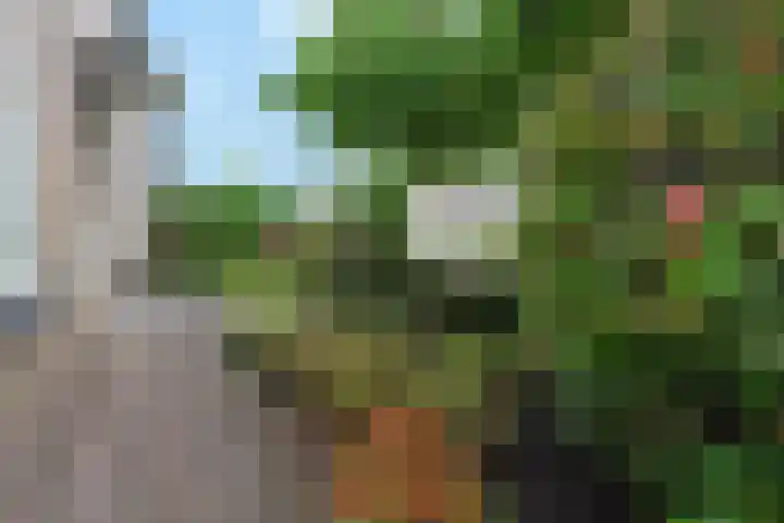 Cornelis Sminklaan 1 Hooglanderveen thumbnail 9