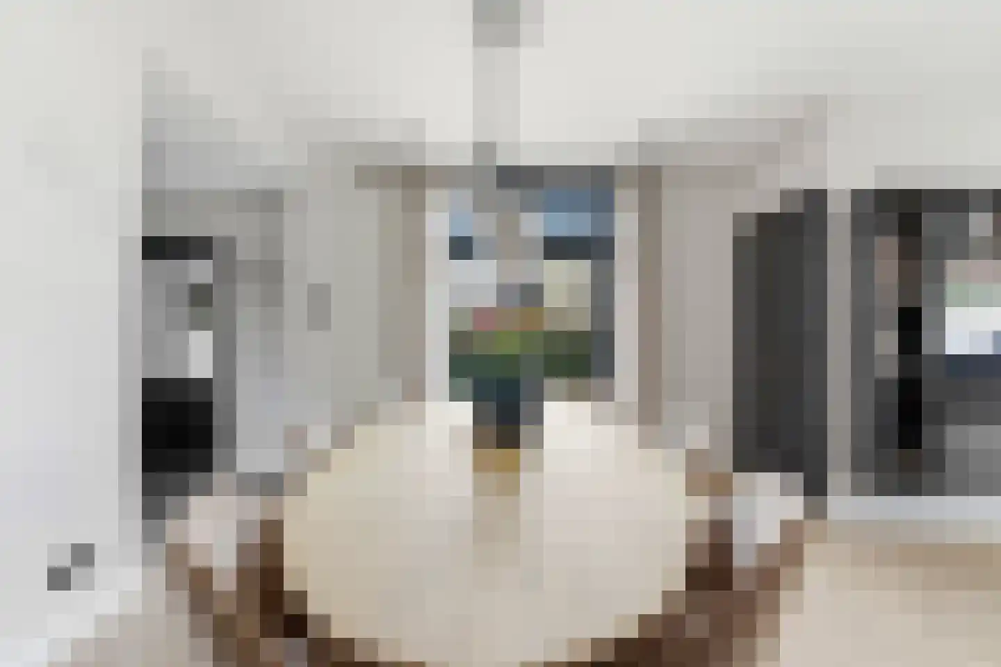 Cornelis Smitstraat 1 Alblasserdam thumbnail 10