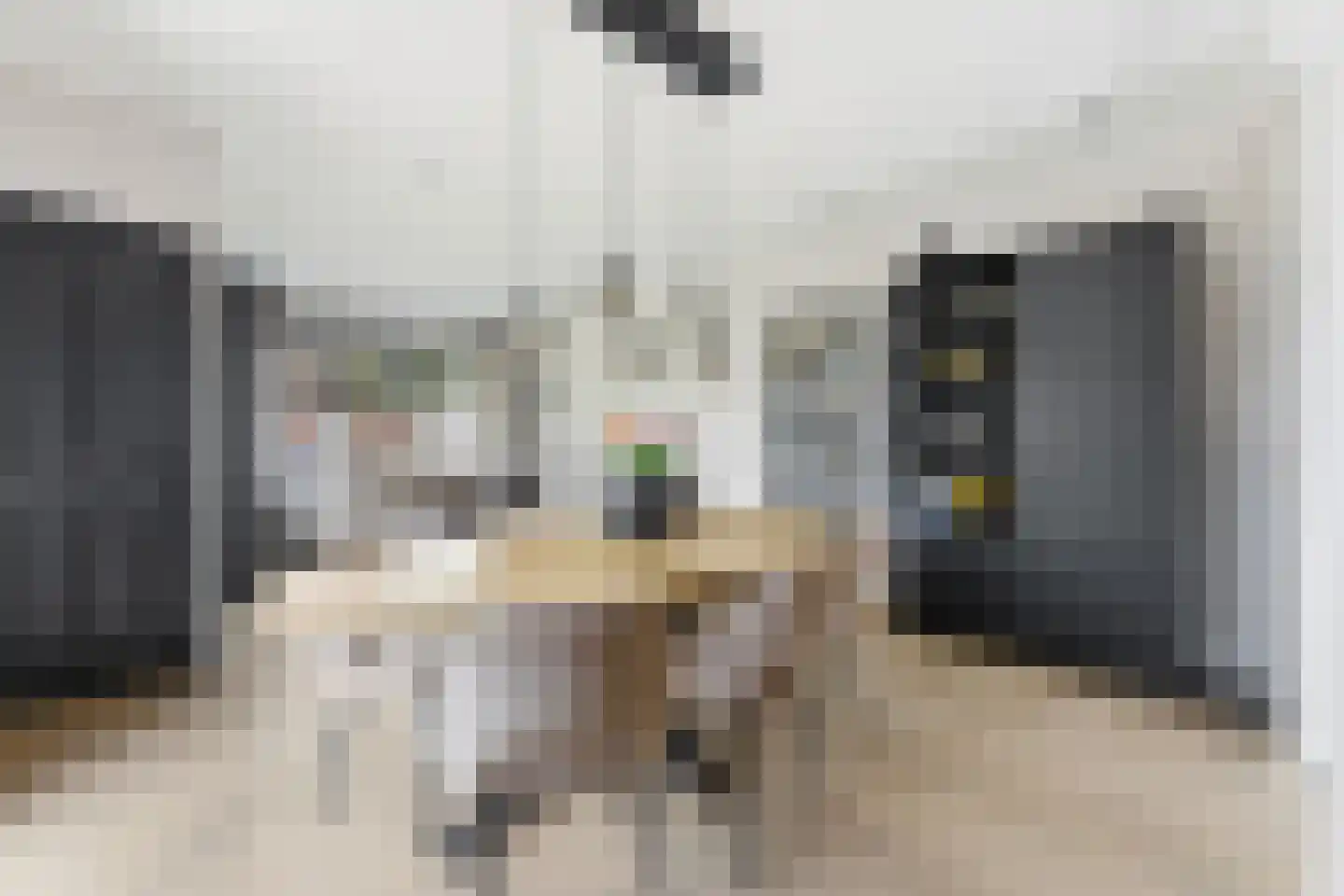 Cornelis Smitstraat 1 Alblasserdam thumbnail 11