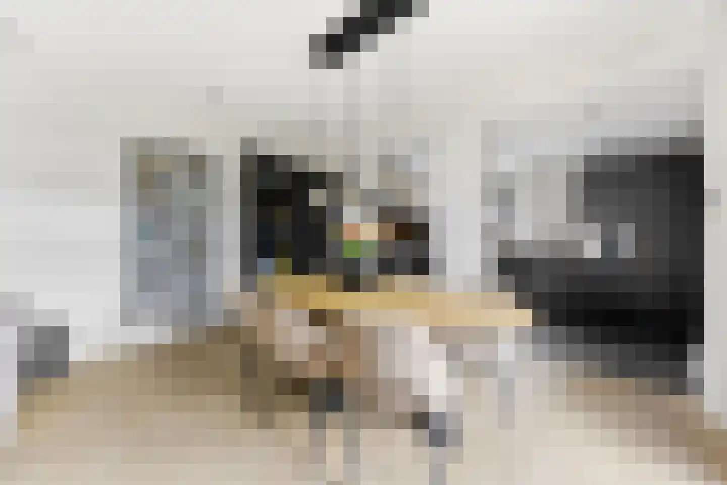 Cornelis Smitstraat 1 Alblasserdam thumbnail 12