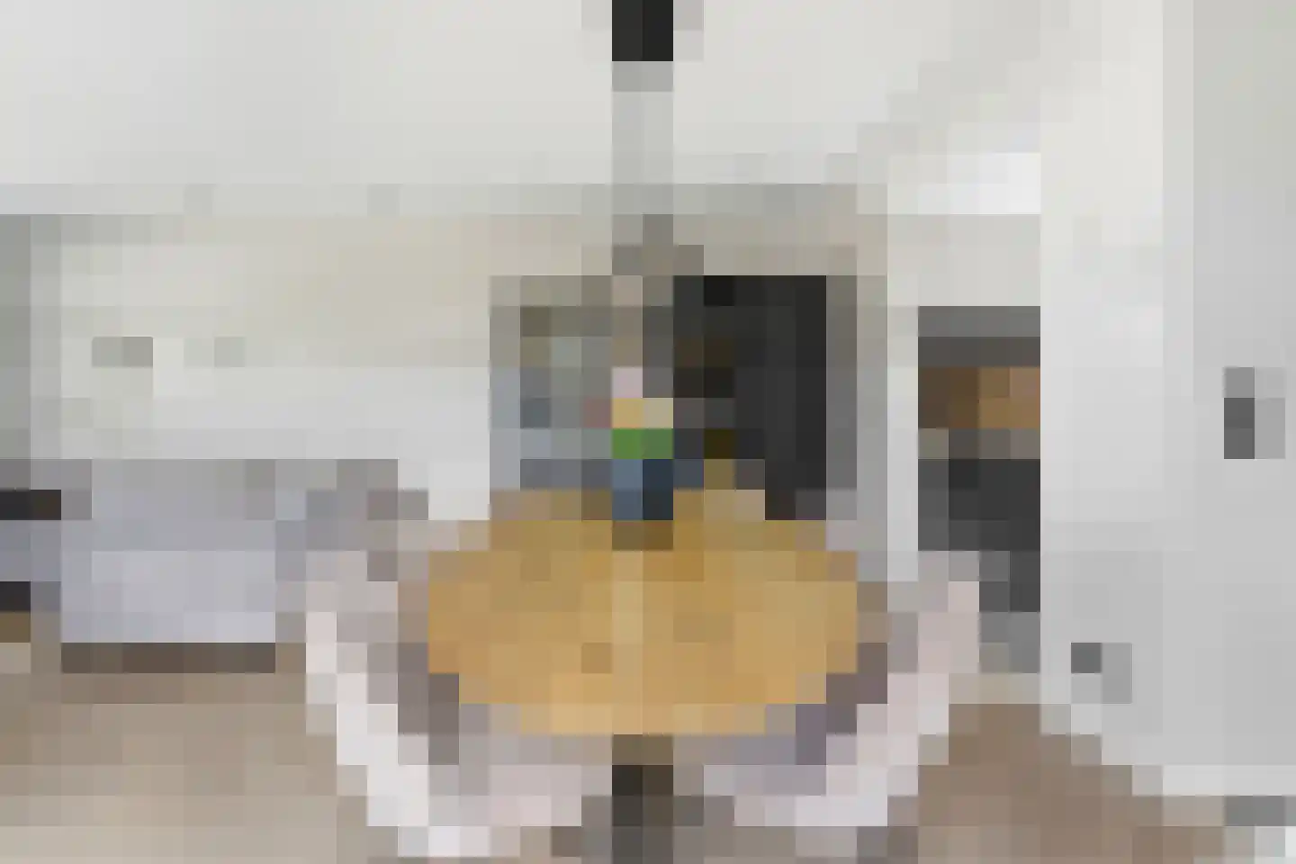 Cornelis Smitstraat 1 Alblasserdam thumbnail 13