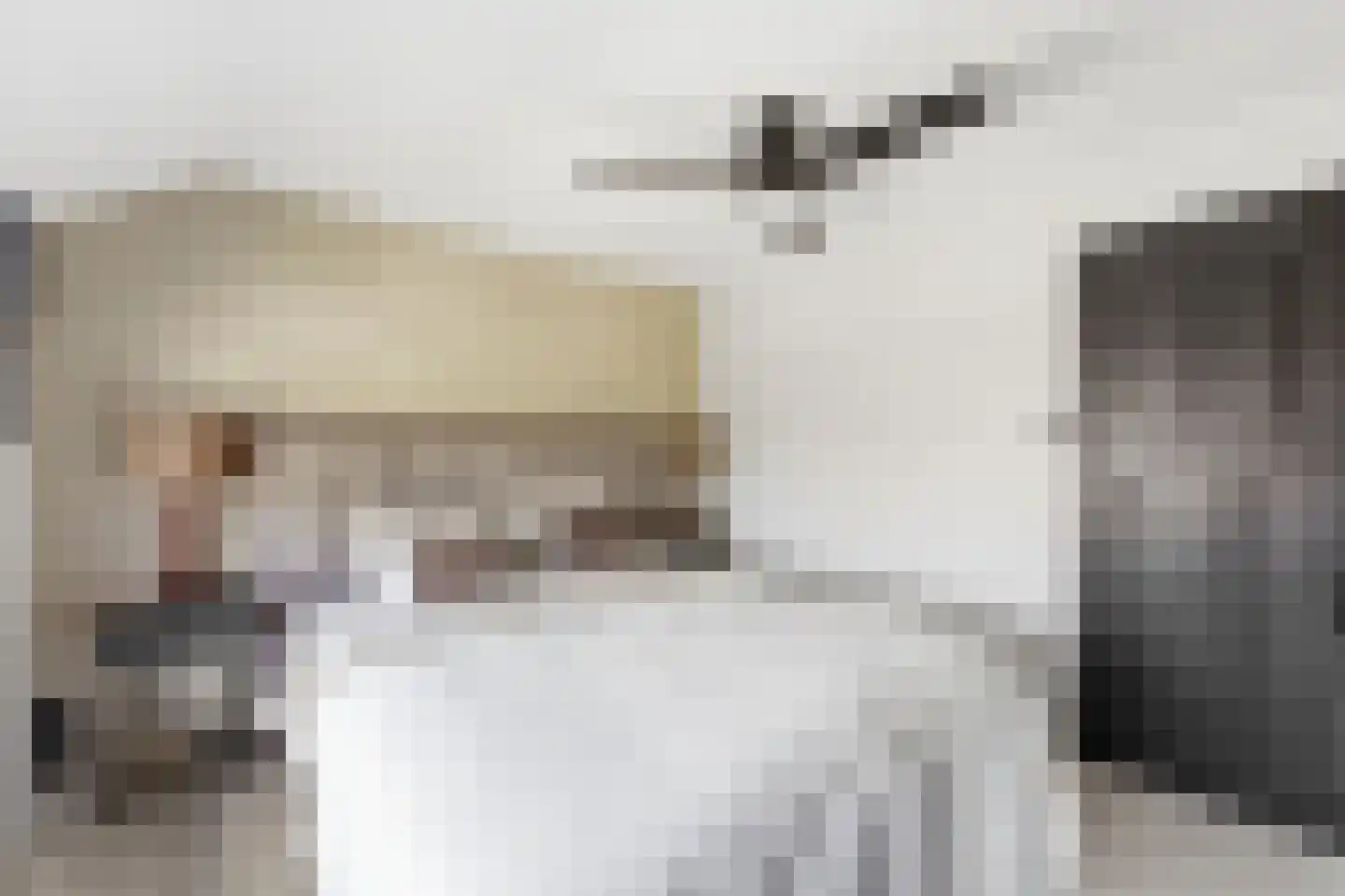 Cornelis Smitstraat 1 Alblasserdam thumbnail 24