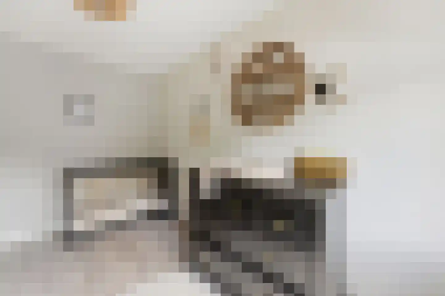 Cornelis Smitstraat 1 Alblasserdam thumbnail 27