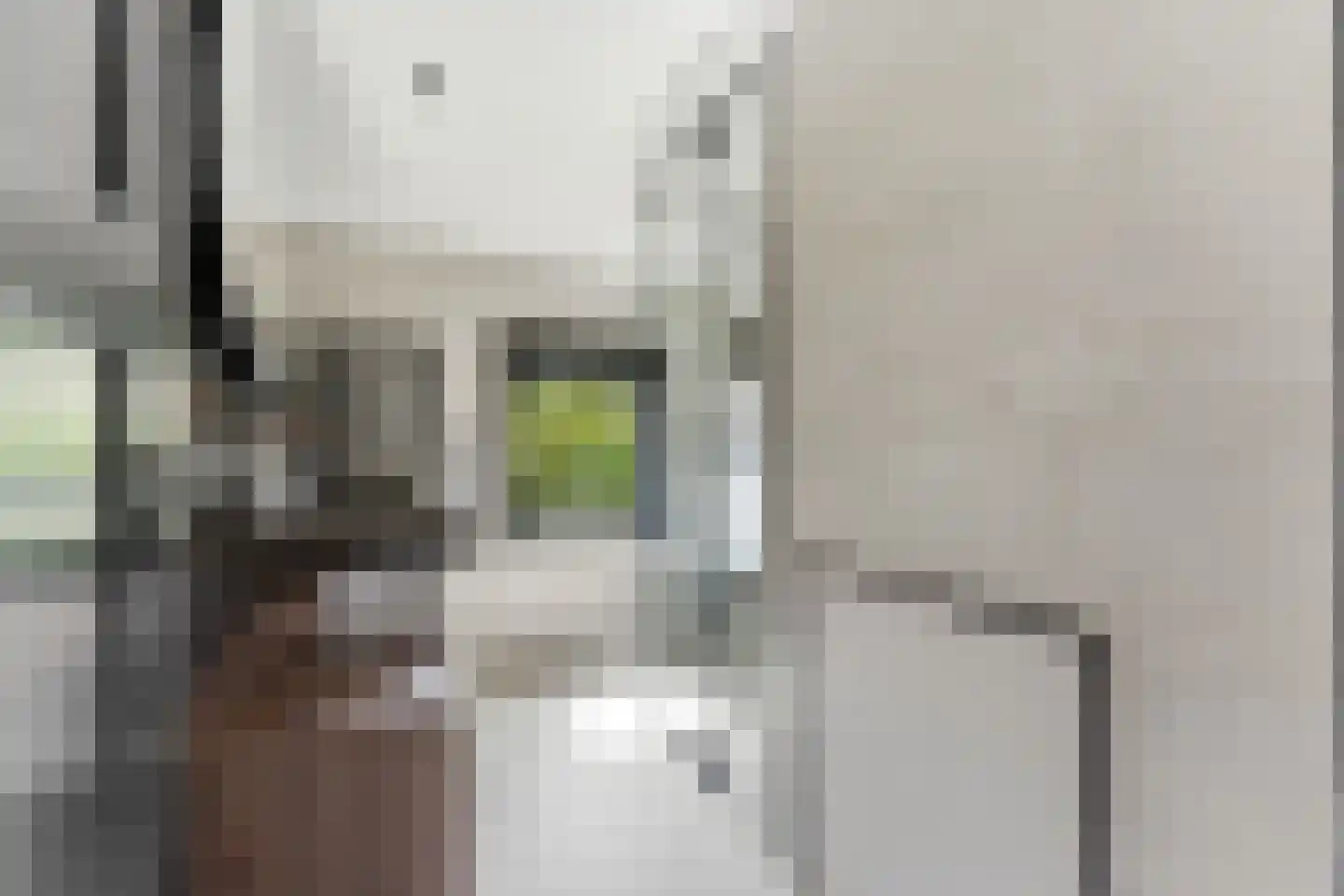 Cornelis Smitstraat 1 Alblasserdam thumbnail 28