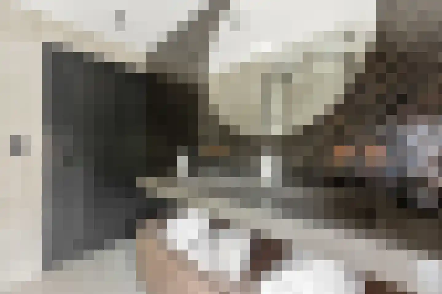 Cornelis Smitstraat 1 Alblasserdam thumbnail 29
