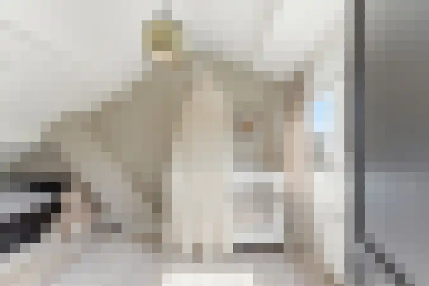 Cornelis Smitstraat 1 Alblasserdam thumbnail 32