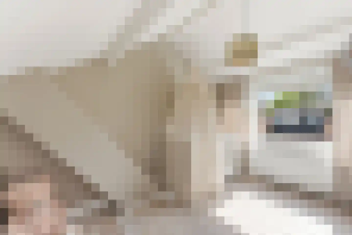 Cornelis Smitstraat 1 Alblasserdam thumbnail 34