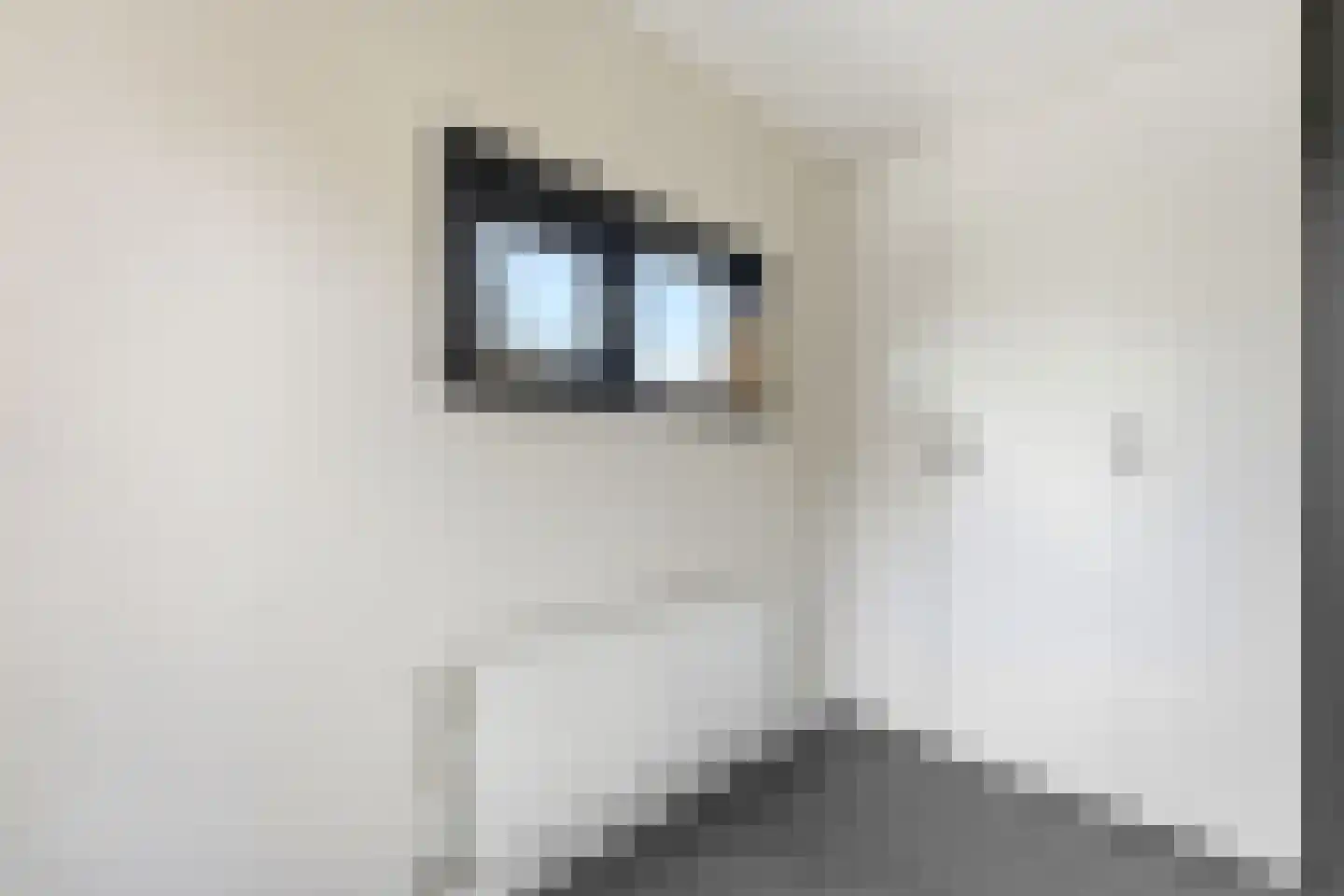 Cornelis Smitstraat 1 Alblasserdam thumbnail 38