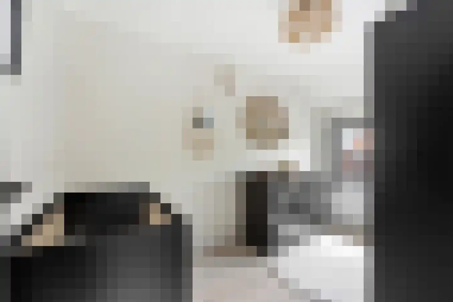 Cornelis Smitstraat 1 Alblasserdam thumbnail 39